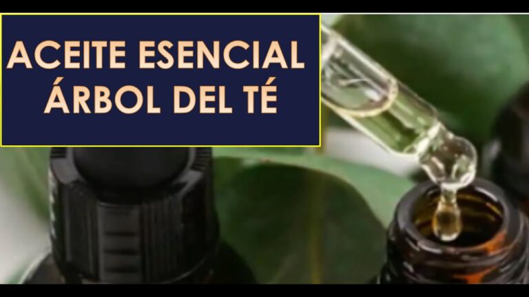 Beneficios del Cuero Antibacteriano