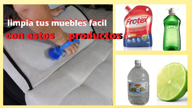 Gu&iacute;a Esencial para el Cuidado y Limpieza de Tapicer&iacute;as de Muebles