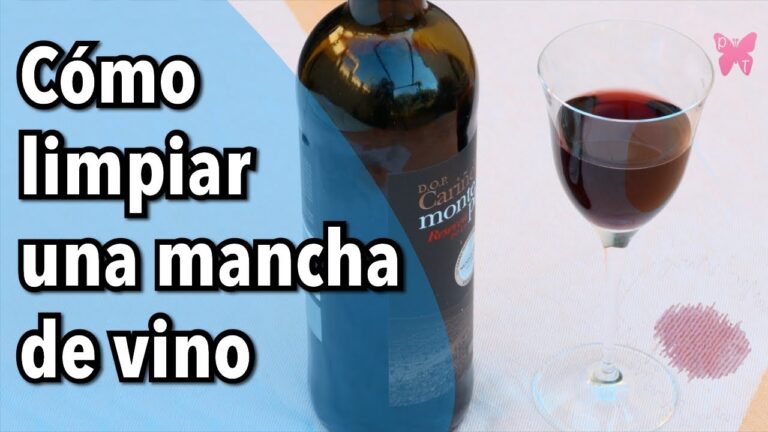 Tapizados Antimancha: Soluciones para un Hogar Impecable