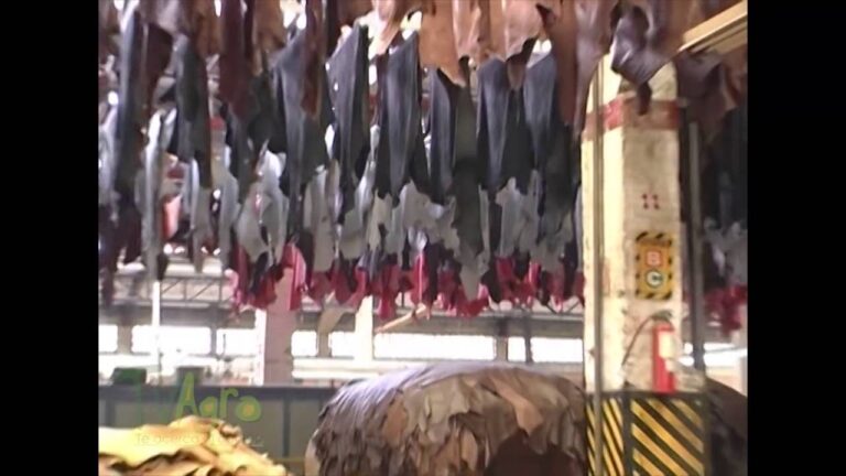 Ventajas del Cuero para una Mayor Flexibilidad