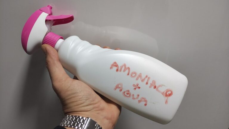 Mejores Productos para Limpiar Tapicerías