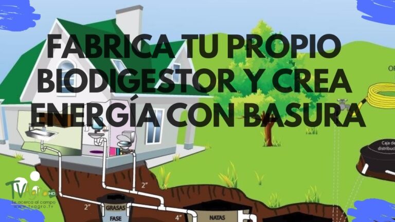 Cuero: Sustentabilidad y Renovación en la Moda