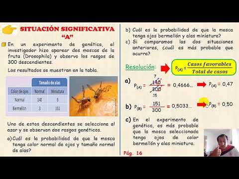 Factores Clave para Elegir Tela de Protecci&oacute;n Solar