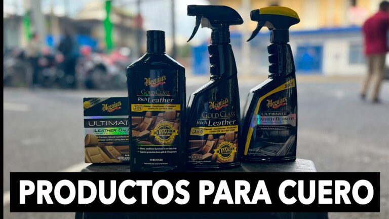 Consejos para Proteger el Tapizado y Asegurar su Durabilidad