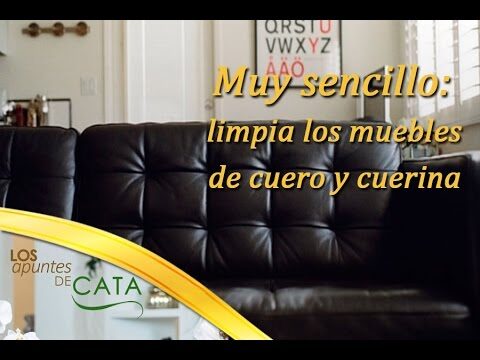 Mantenimiento Efectivo para la Durabilidad del Tapizado