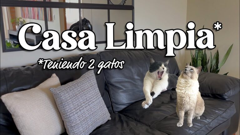 Consejos para Mantener la Tela Impecable con Mascotas en Casa