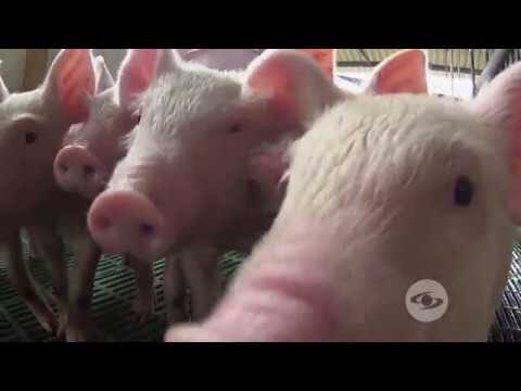 Beneficios del cuero en climas fr&iacute;os