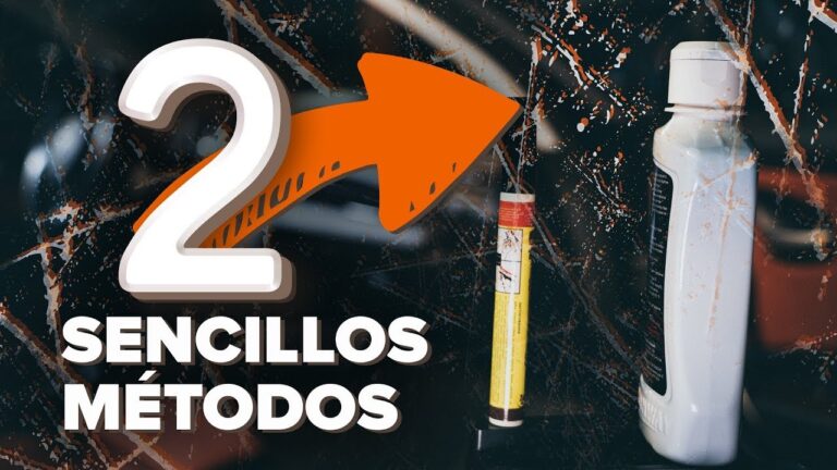 Cuero: La Barrera Efectiva Contra Arañazos