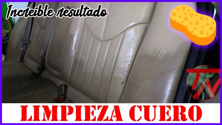 Protege y Cuida la Tapicería de Tu Silla de Ruedas