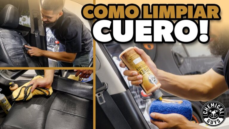 Consejos para Mantener el Tapizado Protegido y Duradero