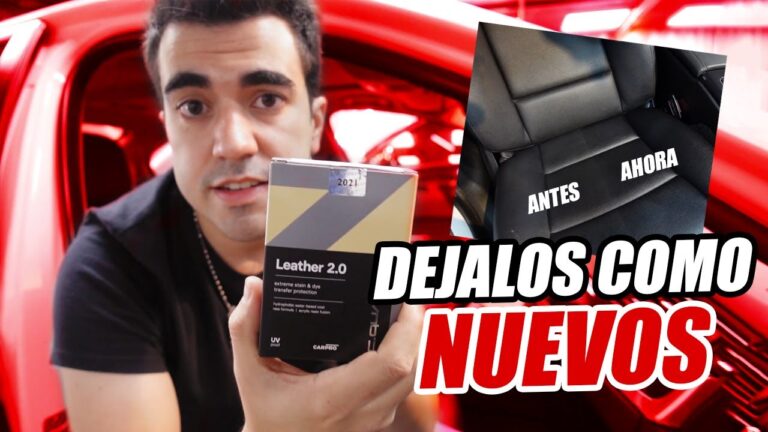 Gu&iacute;a Esencial para el Cuidado y Protecci&oacute;n de Tapizados
