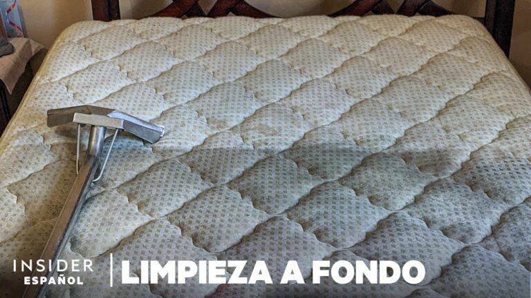 Consejos para Prolongar la Vida &Uacute;til de tu Tapizado
