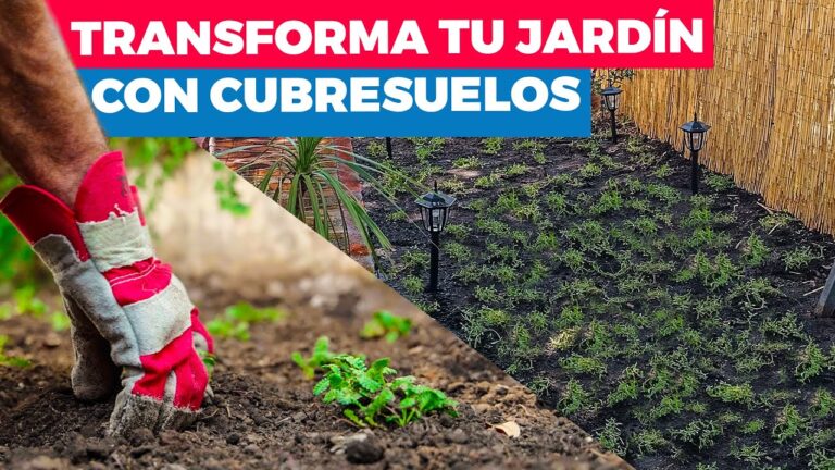 Tapizados Resistentes y de Bajo Mantenimiento: La Elección Ideal para tu Hogar