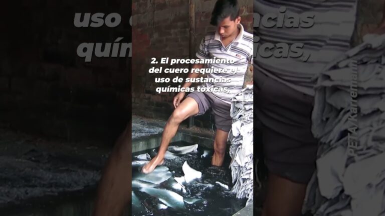 Ventajas del cuero como material sostenible