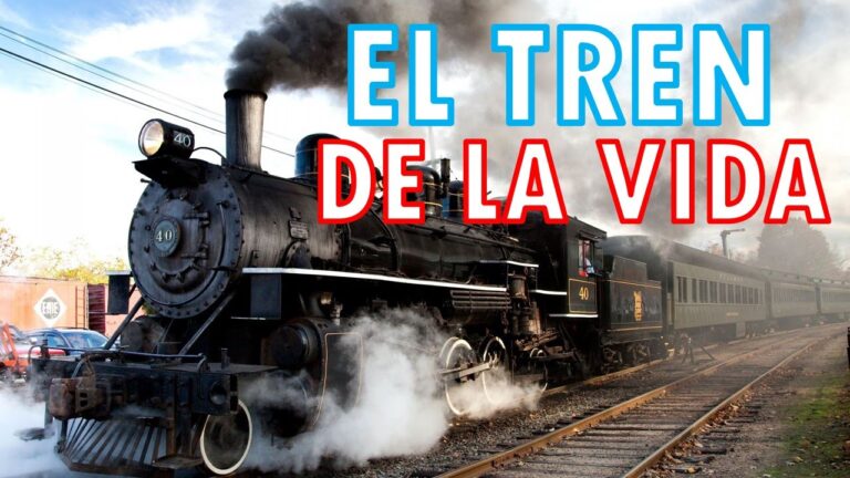 Reparaci&oacute;n Eficiente de Tapizados en Vagones de Tren