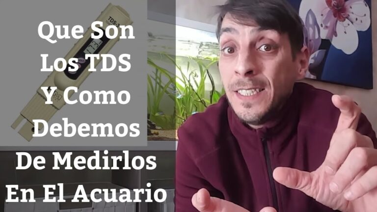 La importancia de la medici&oacute;n en el tapizado