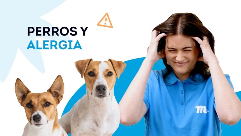 Telas Hipoalergénicas: Prevención de Reacciones Alérgicas