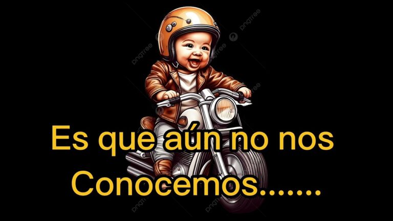 Personalizaci&oacute;n de Asientos: Confort a tu Medida