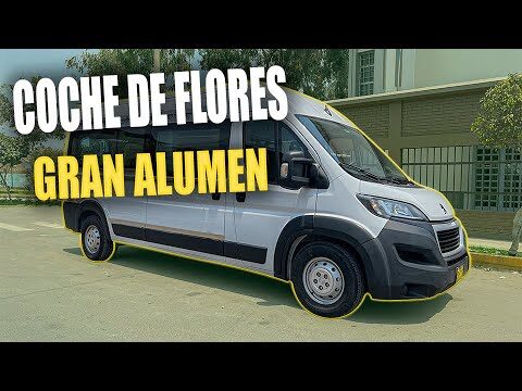 Elegancia en la Personalización de Asientos