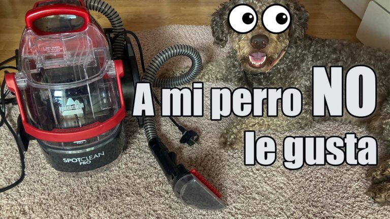 Mantenimiento Personalizado para Alfombras y Tapicer&iacute;as