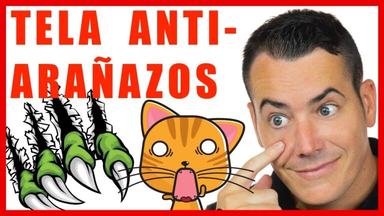 Telas Anti Manchas: La Soluci&oacute;n Ideal para Familias con Ni&ntilde;os