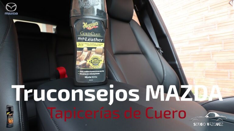 Manteniendo la Durabilidad del Tapizado con Protección Efectiva