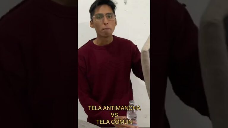 Tela Antimanchas: &iquest;C&oacute;mo Elegir la Mejor Opci&oacute;n?